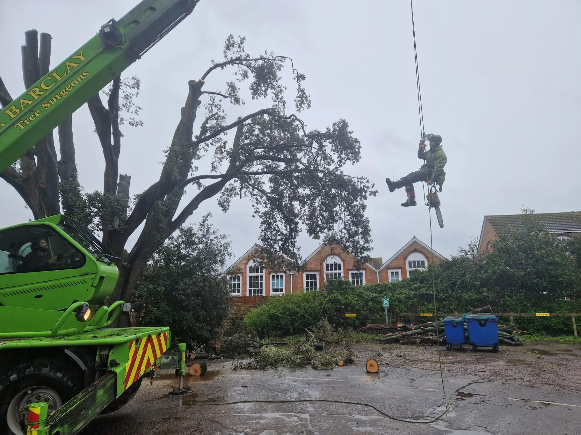 Tree Inspections Taunton