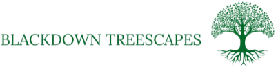 Blackdown Treescapes