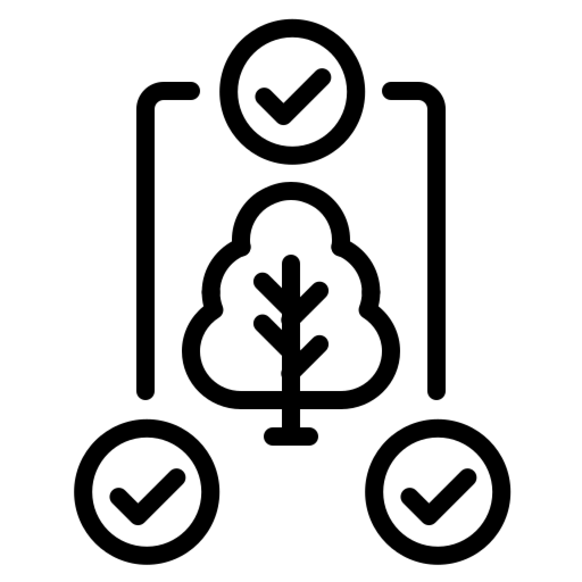 Tree health assessments