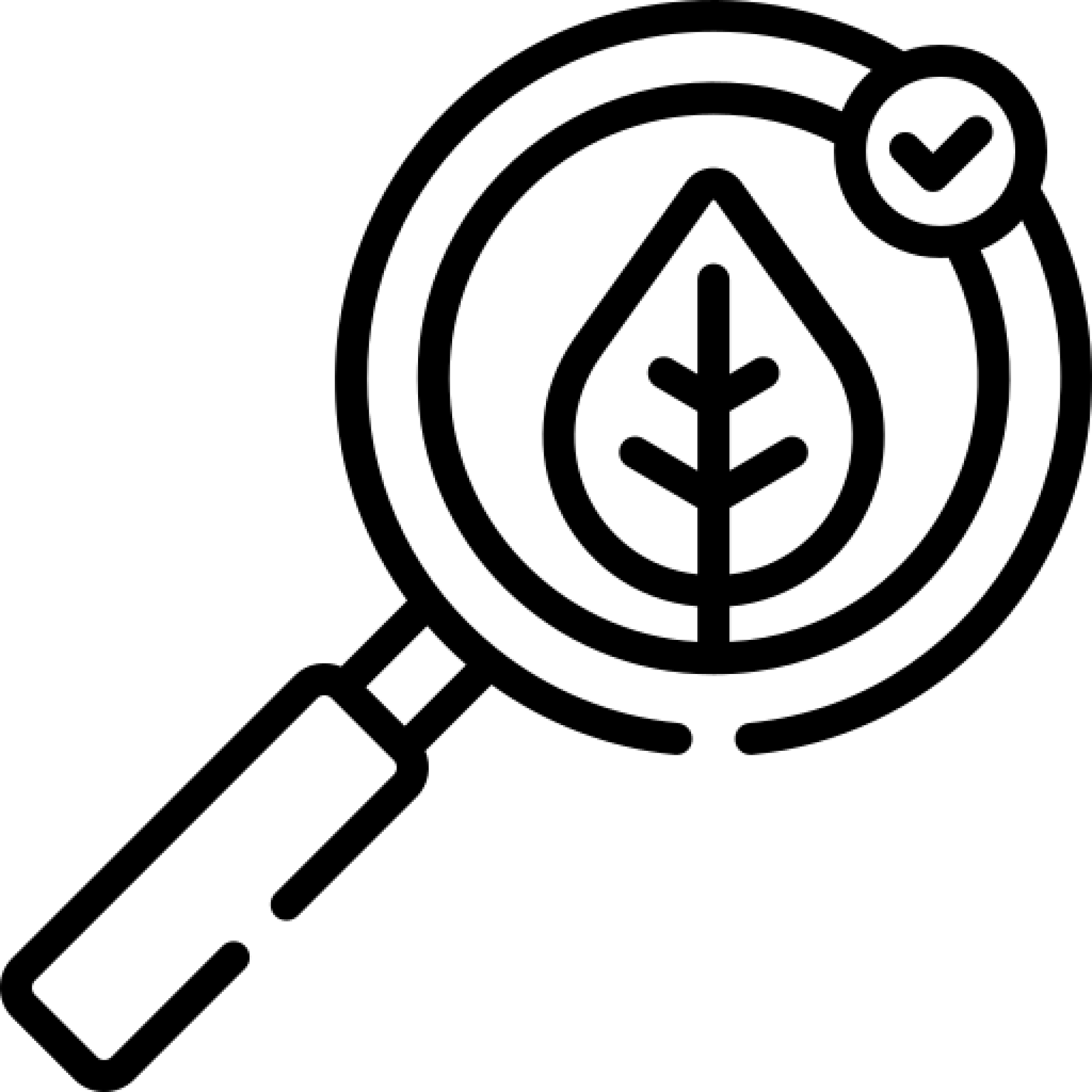 Tree safety inspections