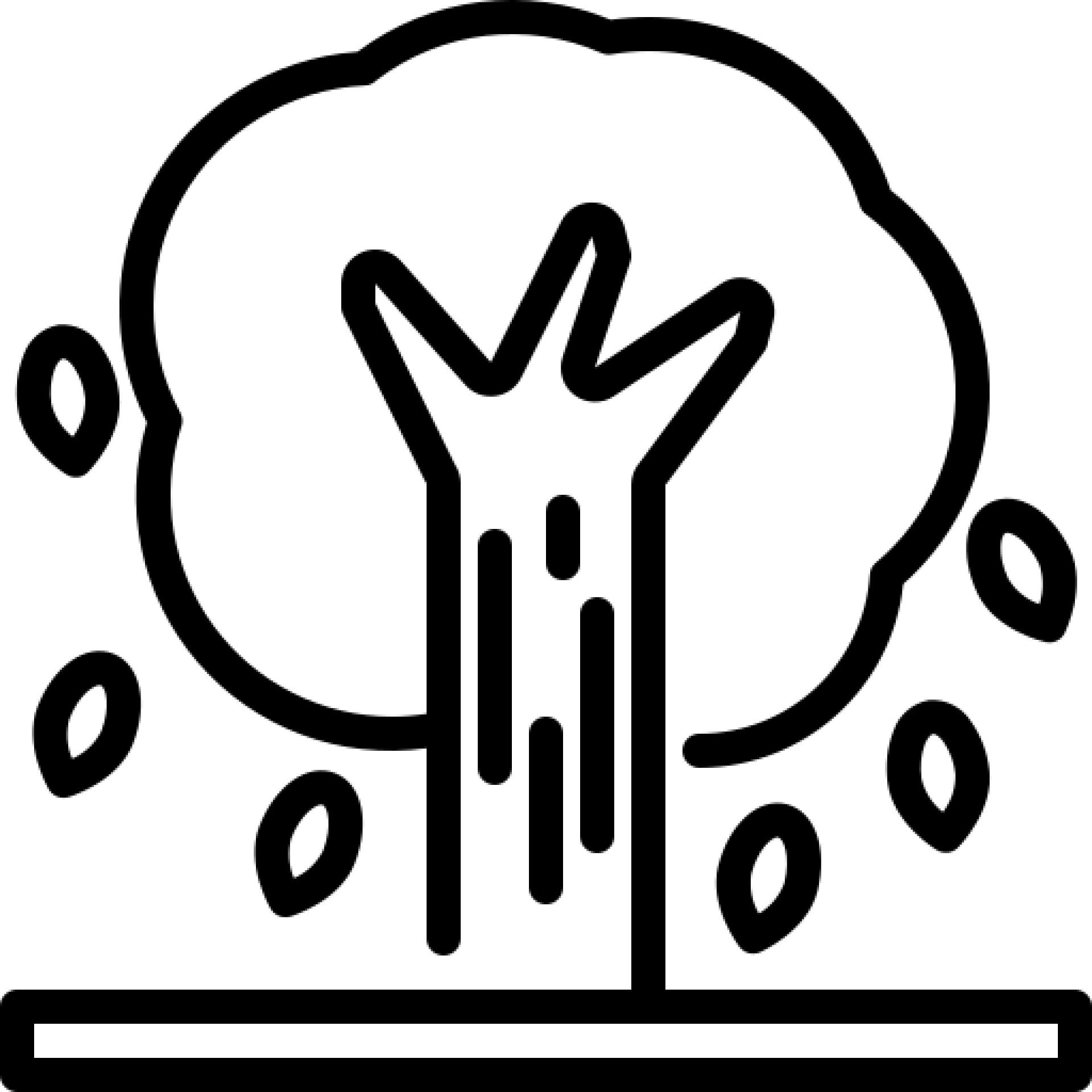 Tree risk assessments